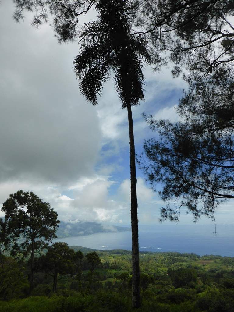 Rencontre tahiti taravao