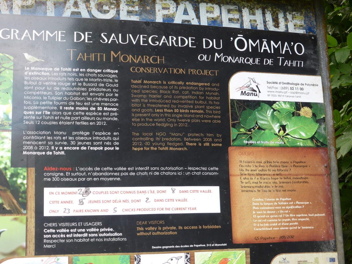 site de rencontre acces visiteur