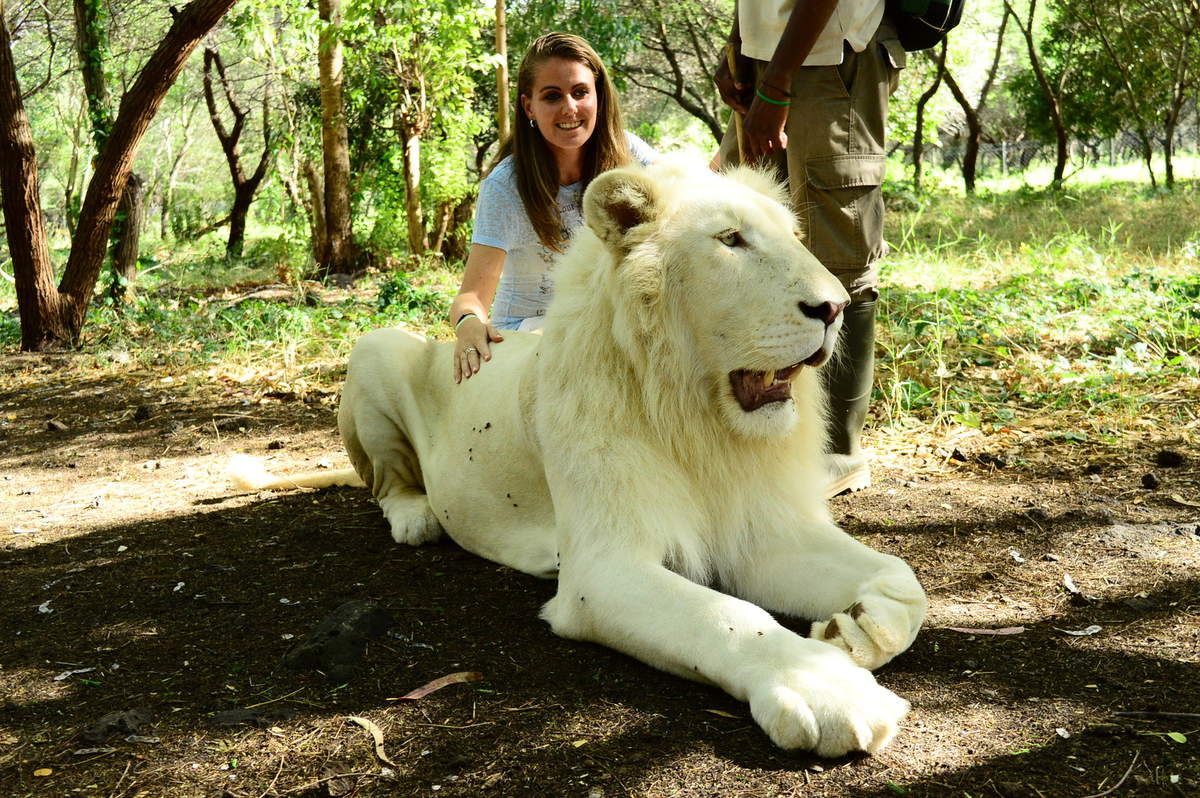 Casela Nature Park In Mauritius Best Things To Do