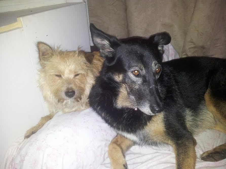 Mes trois amours PodencoStory