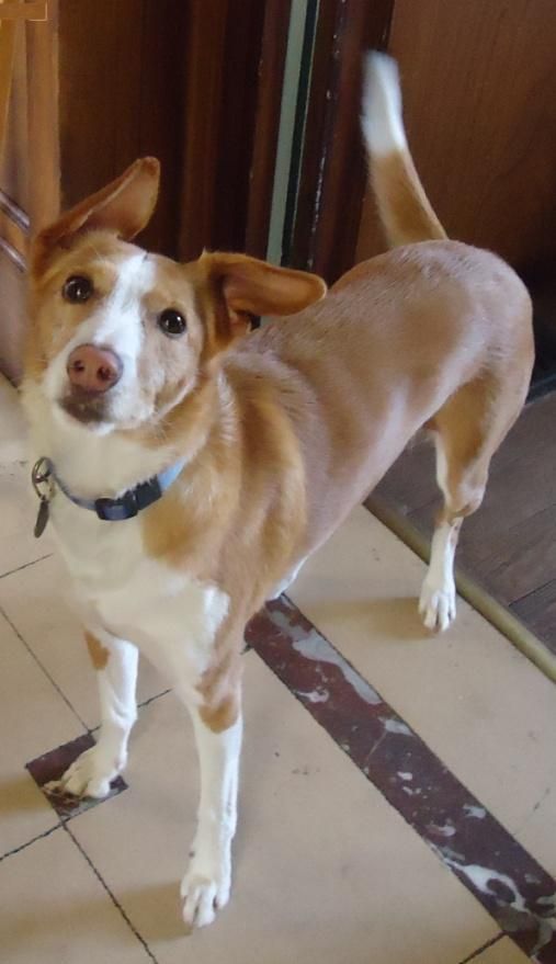 ne pas mettre sa photo sur un site de rencontre