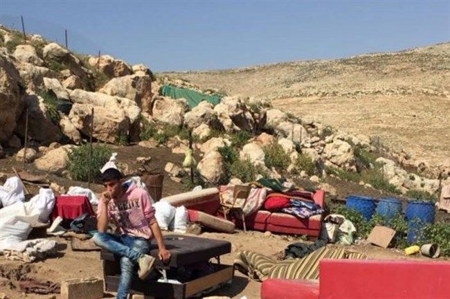 Palestine info