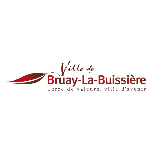 chat bruay la buissi ere