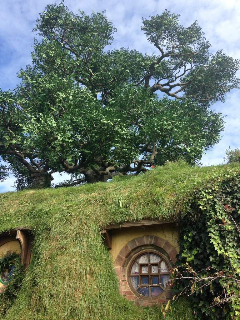 Hobbiton lieu de tournage du Seigneur des Anneaux Voyage de noces