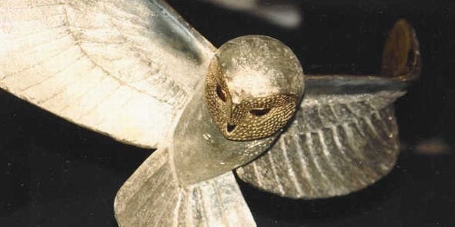 Le Trésor De La Chouette D'or En France A la recherche de la Chouette d'Or - Trésors dans la nuit