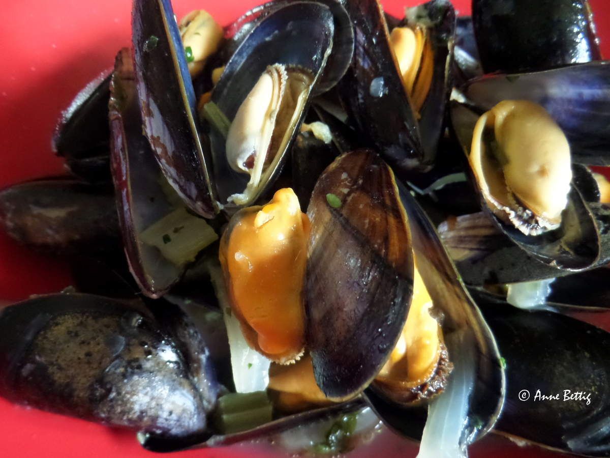 Moules marinières belges (Cookéo) - La cuisine toute simple de Mamita