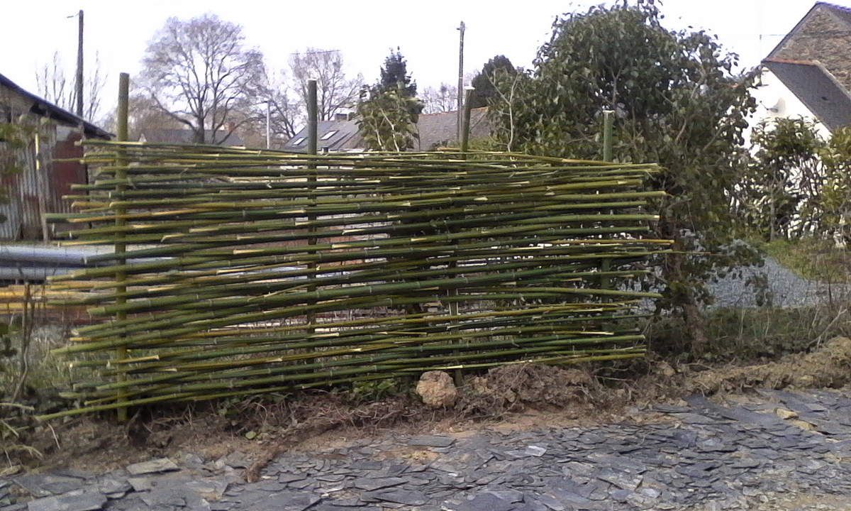fabriquer un brise vue en bambou - les créations d'ilo