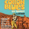 DU BLUES CHEZ NOS VOISINS .................