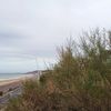 à Cabourg, il y a....
