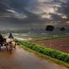 خدا کرے کہ میری ارض پاک پر اترے وہ فصل گل ، جسے اندیشہ زوال نہ ہو