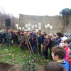 Plantons un arbre