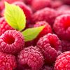 La framboise