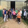 Une journée à la campagne