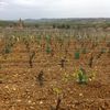 Le printemps à Loché