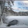 Meilleurs Voeux 2015