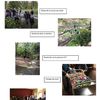 Chasse aux Oeufs 2017