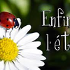VIVE L'ÉTÉ