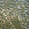RDV Mercredi 1 juillet à 17H "A la découverte des zones humides de la réserve naturelle du Pinail "
