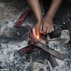 Reportage sur le bois de rose de Madagascar