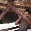 Reportage sur le bois de rose de Madagascar