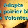 Adopte un poirier bio à la ferme des Volonteux à Beaumont les Valence