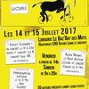 Entrée libre ! Baz'art des mots 14 et 15 juillet