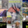 Les vagues en vogue Fête de Saint Christophe et Le Laris 29, 30 et 31 JUILLET 2017