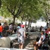 Bonne mobilisation pour le concours de pétanque du PCF