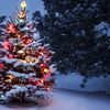 Joyeux Noël à toutes et tous !