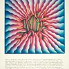 Peeling Back @ Judy Chicago. 1974