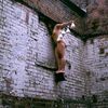 Traci Kelly. 2015. 6e biennale d'art contemporain de Moscou