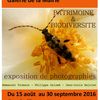 Galerie de la Mairie : Exposition du 15 août au 30 septembre