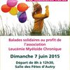 Balades Solidaires Dimanche 7 juin 2015
