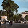 الزاوية الناصرية - مقتطفات من كتاب الحركة الإصلاحية في الأغواط لصاحبه محمود علالي