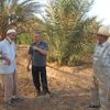 GNEIFID : SORTIE SUR LE TERRAIN DE L'EQUIPE DES CHERCHEURS DU CRSTRA-BISKRA ( 12 7 2017)