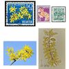 Le forsythia