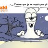 Mystères dans l'arrière-pays...ou la dame blanche.