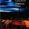Gemeaux de Maud Tabachnik