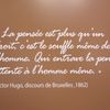 CITATION DU JOUR