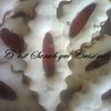 Sablés aux graines de sésame et confiture