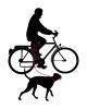 Rouler avec son chien