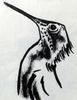 colibri