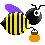 Fête de la Cabotte