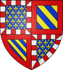 Bourgogne : Le vieux château de Noyers sur Serein