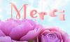 Anniblog