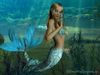 Le chant des sirènes