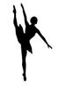 DVD DU GALA DE DANSE (suite)