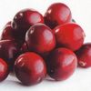 Info Santé : 9 antibiotiques naturels