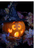 C'est lundi, que lisez-vous? #70 + R.A.T. d'Halloween