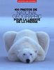 Samedi 13 décembre: Hivernage ou hibernation?